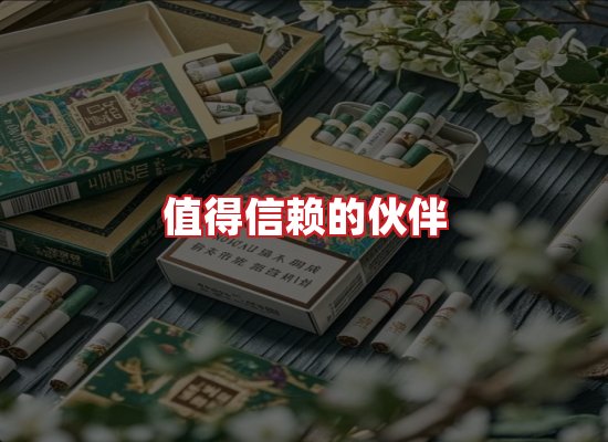 专业团队
